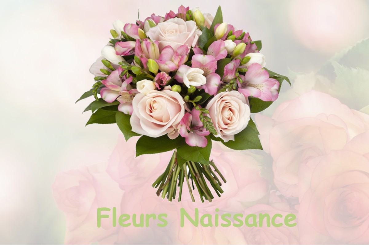 fleurs naissance LE-PLESSIS-FEU-AUSSOUX