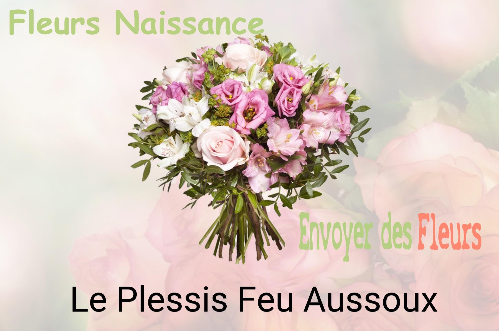 Bouquet de fleurs de naissance livré à Le Plessis-Feu-Aussoux
