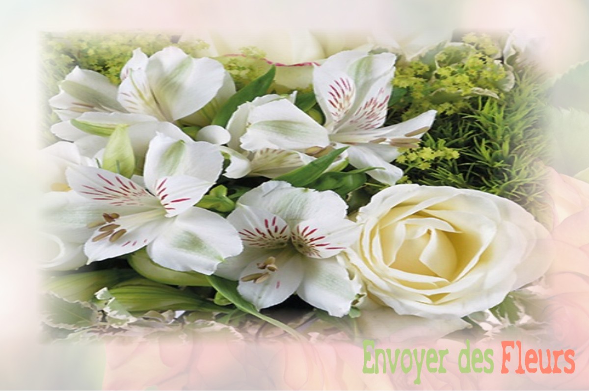 envoyer des fleurs à à LE-PLESSIS-FEU-AUSSOUX